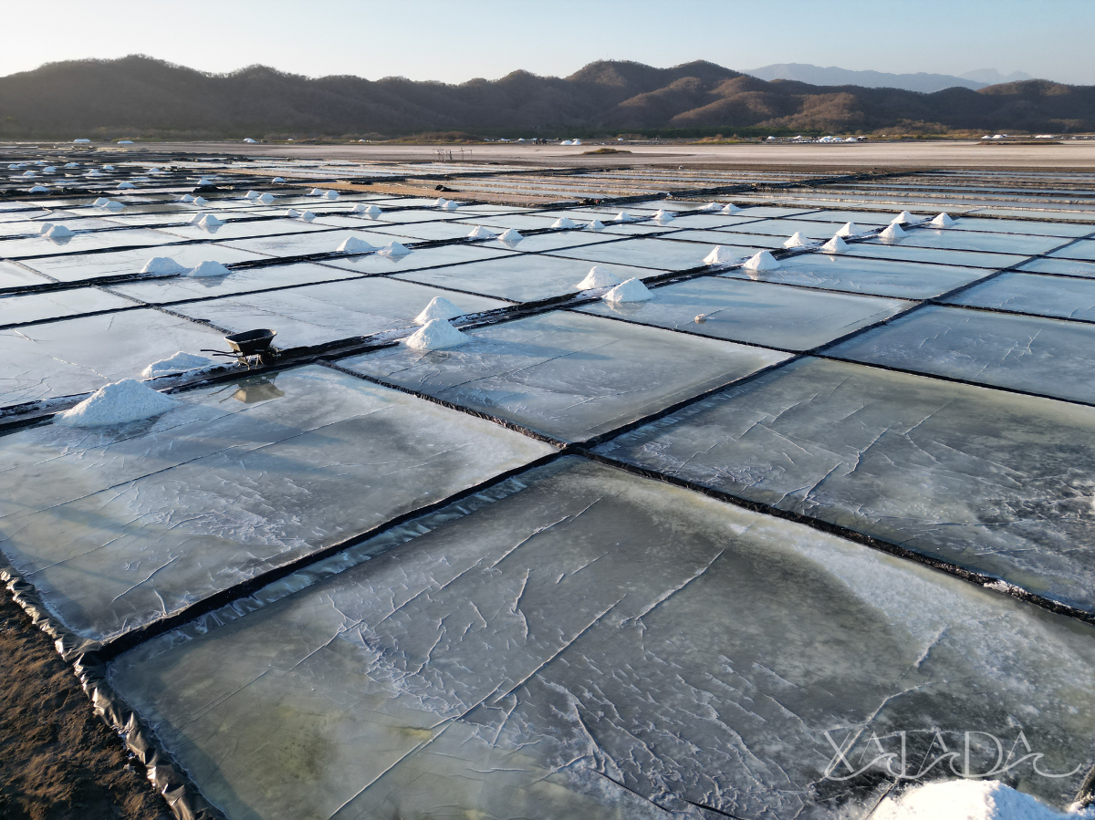 Premium hand harvested sea salt, mineral salt